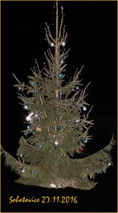 Vánoční dílna a rozsvěcování stromečku